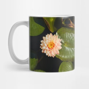 lotus on the lake Mug